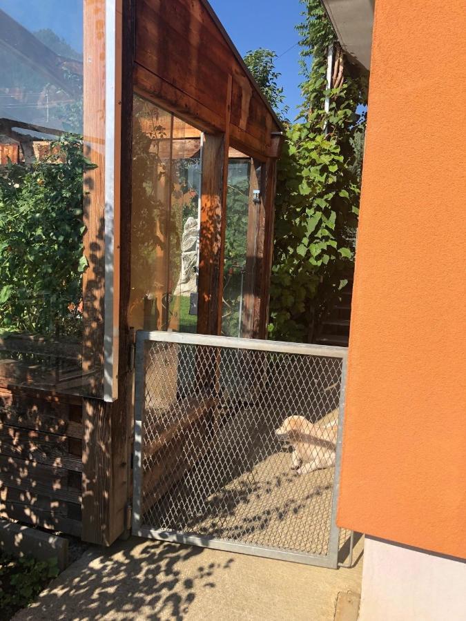 Millies Hosting - Familienurlaub Mit Hund In Kaernten Sankt Paul im Lavanttal Esterno foto