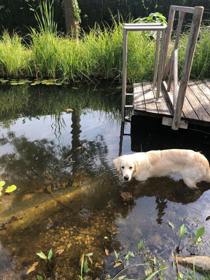 Millies Hosting - Familienurlaub Mit Hund In Kaernten Sankt Paul im Lavanttal Esterno foto
