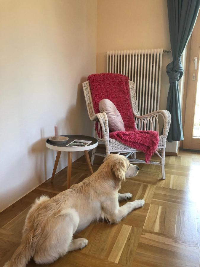 Millies Hosting - Familienurlaub Mit Hund In Kaernten Sankt Paul im Lavanttal Esterno foto