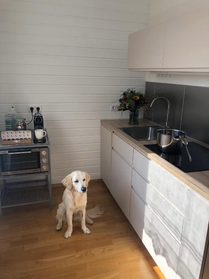Millies Hosting - Familienurlaub Mit Hund In Kaernten Sankt Paul im Lavanttal Esterno foto