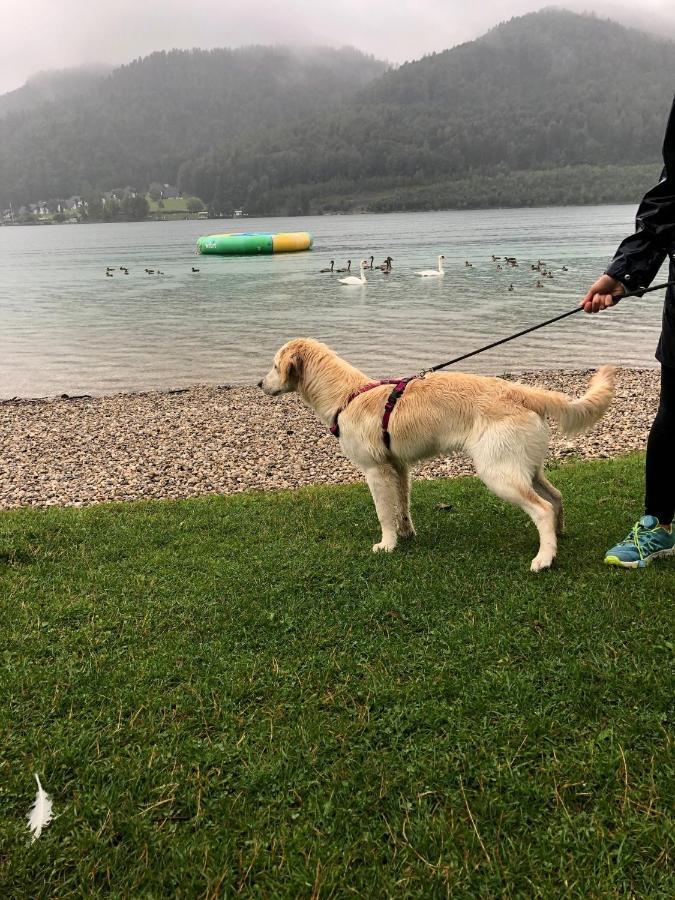 Millies Hosting - Familienurlaub Mit Hund In Kaernten Sankt Paul im Lavanttal Esterno foto