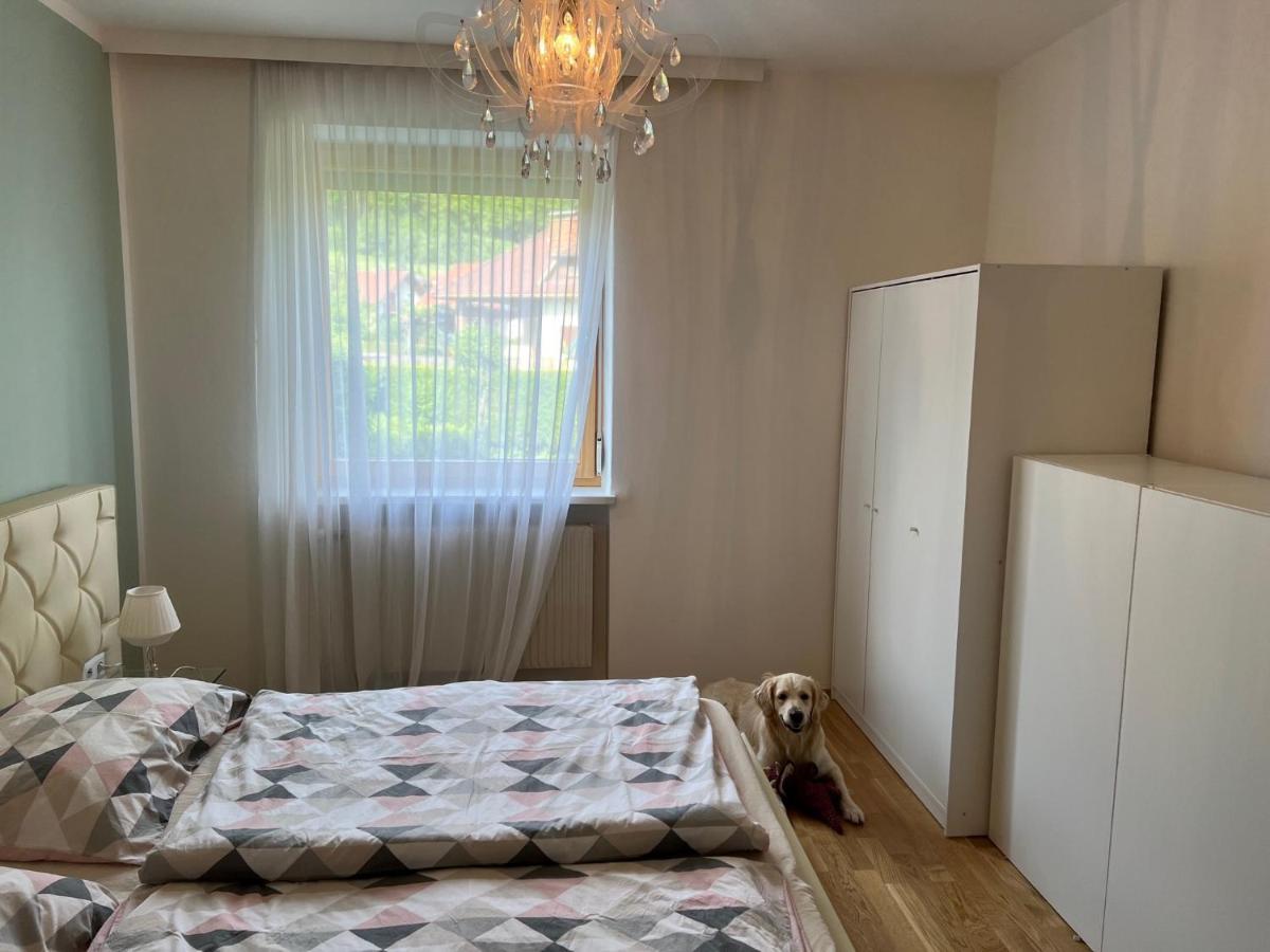 Millies Hosting - Familienurlaub Mit Hund In Kaernten Sankt Paul im Lavanttal Esterno foto
